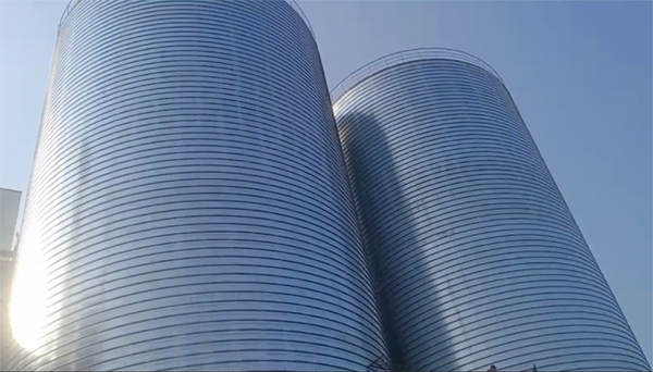 巴彦淖尔2座混凝土高架卷板仓